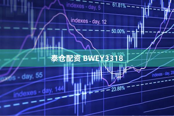 泰仓配资 BWEY3318