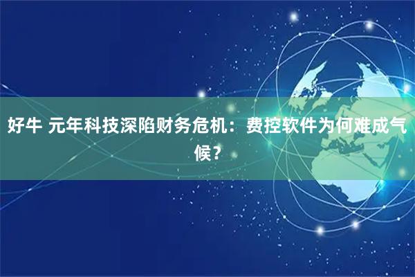 好牛 元年科技深陷财务危机：费控软件为何难成气候？