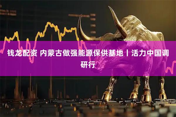 钱龙配资 内蒙古做强能源保供基地丨活力中国调研行