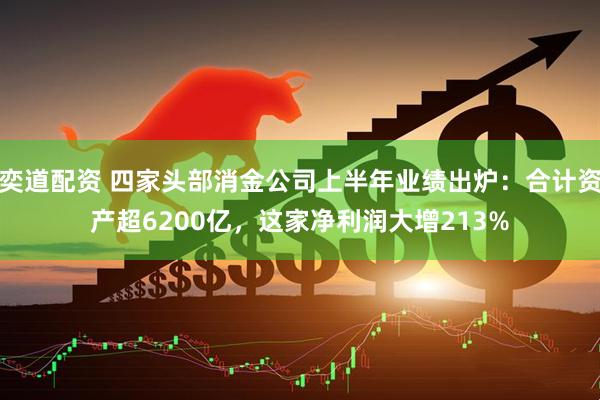 奕道配资 四家头部消金公司上半年业绩出炉：合计资产超6200亿，这家净利润大增213%