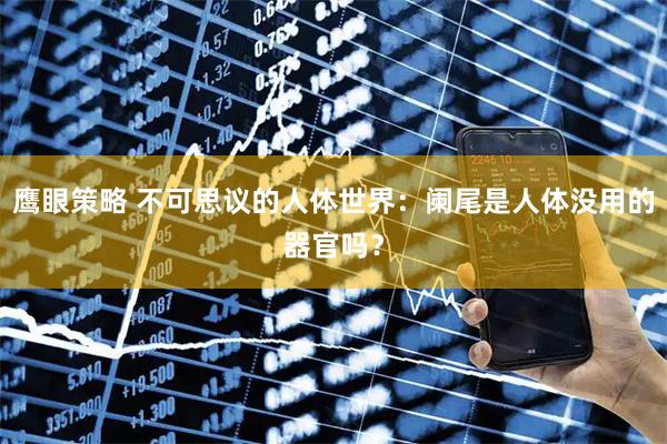鹰眼策略 不可思议的人体世界:阑尾是人体没用的器官吗?