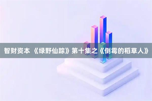 智财资本 《绿野仙踪》第十集之《倒霉的稻草人》