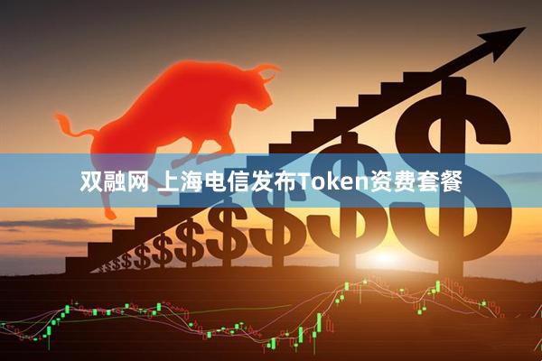 双融网 上海电信发布Token资费套餐