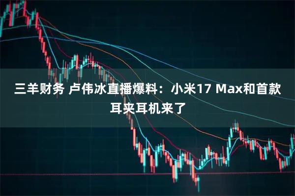 三羊财务 卢伟冰直播爆料：小米17 Max和首款耳夹耳机来了