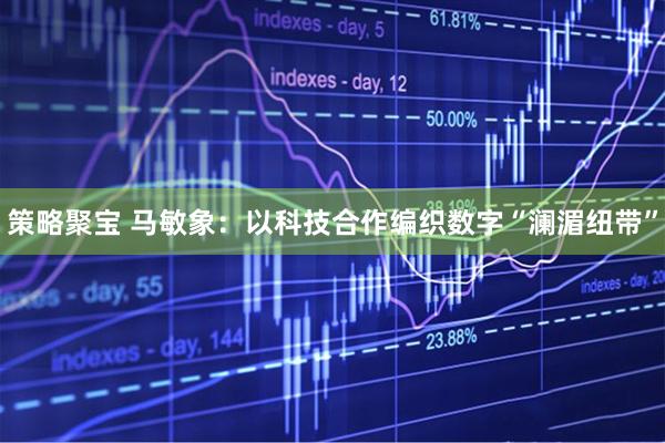 策略聚宝 马敏象：以科技合作编织数字“澜湄纽带”