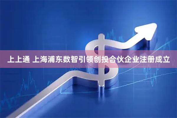 上上通 上海浦东数智引领创投合伙企业注册成立